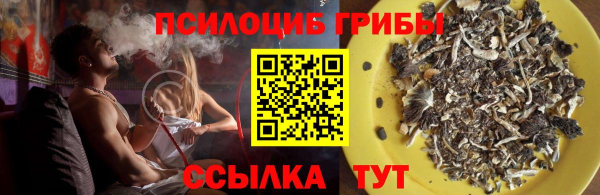 Ковров  Галлюциногенные грибы Psilocybe  Вход с VPN 